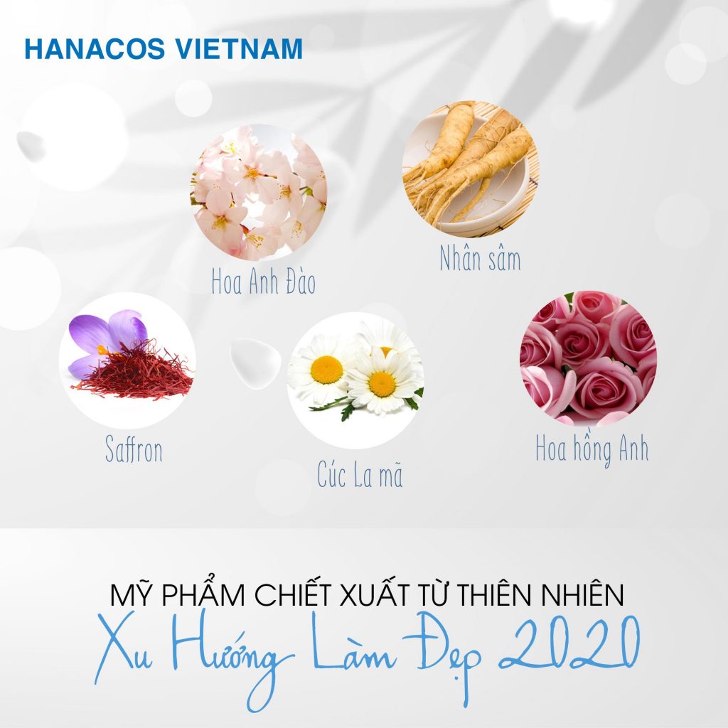 Chiết xuất thiên nhiên - xu hướng làm đẹp hiện đại