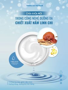 Chiết xuất nấm linh chi trong trẻ hóa làn da